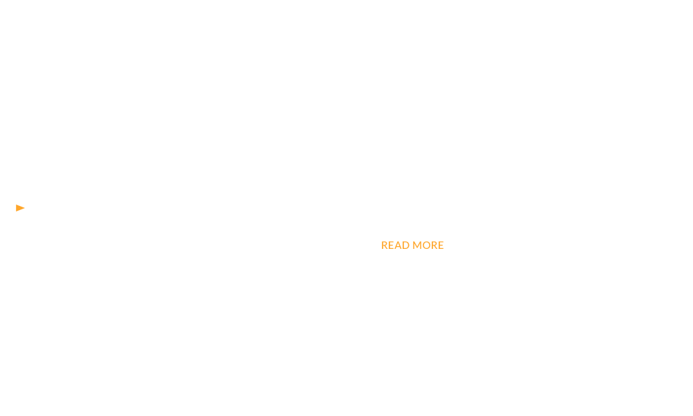 bnrhalf_works_cover